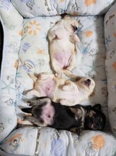 ボディフット 妙蓮寺店(Body Foot) 篠田