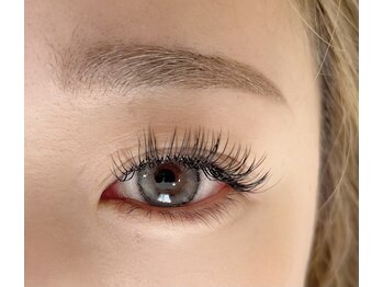 トーン(TONE)/フラットマットラッシュ160本