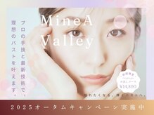 ミネアヴァリー(Mine A Valley)
