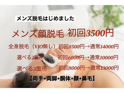 ルーチェ(Luce)の写真