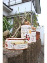 レディバード(Lady Bird)/多肉植物にハマってます♪