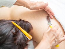 ふくじゅそう/見られてますよ！