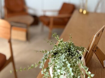 シュシュビエン(Chou Chou Bien)/寛げるカウンセリングスペース