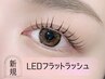 【束感】［低刺激+持ちup!] LEDフラットラッシュ80本　￥5500