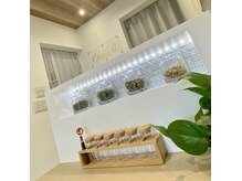 ワンネス(Oneness)の雰囲気（ハーブの女王と呼ばれるヨモギ。先人の知恵・古来からの伝統療法）