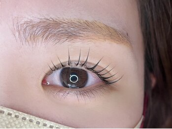 ヴォランチ アイ(Volante.EYE)/ぱっちりデザイン