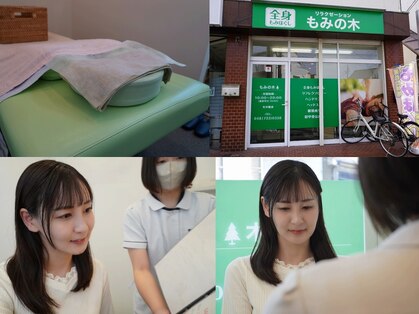 もみの木の写真