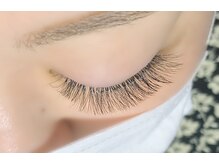 バタフライジュエル 本店(ButterflyJewel)/4D-6D 100束