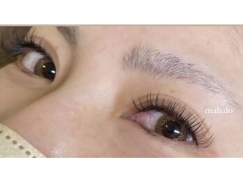 マハロ 関目(Mahalo)/フラットラッシュ140本