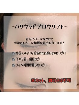 サロン ド ブランシェ(Salon de Branchee)/ハリウッドブロウリフト