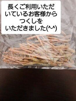 ポラリス整体院/つくしをいただきました(^-^)