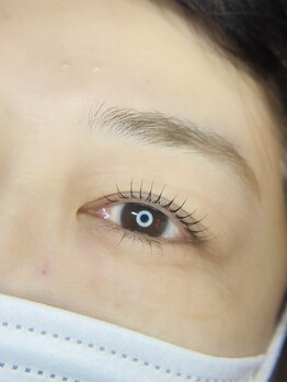 ヌーク(neuk)/ラッシュリフト（まつげパーマ）