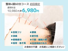 ケーナイン(K-nine)