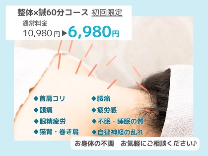ケーナイン(K-nine)の写真