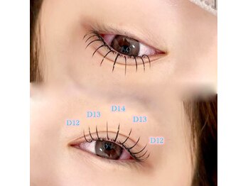 シックドゥアキタ(CHIC de Akita)/フラットラッシュ