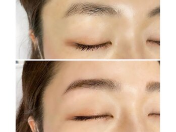 チャイ(Chay)/ハリウッドアイブロウ(HBL)