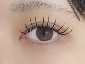 リュクス(Le LUXE)/ダブルフラットラッシュ100束