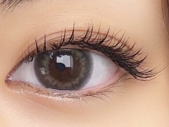 ローラント(LAURENT)/フラットラッシュ200本