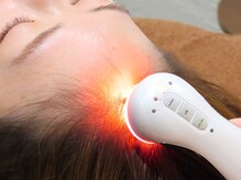 美しき森の雰囲気(幹細胞上清液で頭皮の細胞を活性化、ハリ、コシのある髪に)