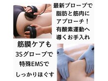 スタイルアップボディ ナゴミ(スタイルアップBODY！NAGOMI)の雰囲気（低周波・中周波・高周波のブレンドEMSに最新キャビテーション）