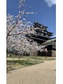 六甲整体院(TOTAL BODY CARE CHIROPRACTIC) お城の魅力にハマっています。いつか全国のお城を巡りたいです