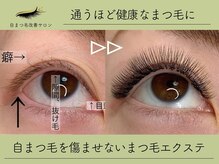キンバリー 乃木坂店(KIMBERLY)/今話題の自まつ毛改善サロンです