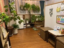 こりとりらくね 長岡京の雰囲気（緑あふれる受付）