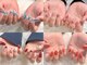 エル(Ailes)の写真/トレンドを取り入れた可愛すぎる定額ネイル♪色変え自由であなただけのオリジナルデザインに◎