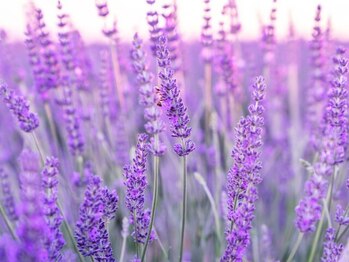 憩いサロン ユリ(Yuri)/整体・リンパ・ヘッドスパ大宮店