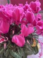 月猫 ガーデニングが趣味でお花や観葉植物を育てるのが好きです(^O^)