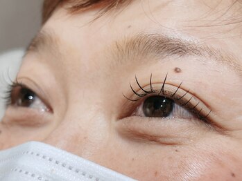 ルッカ(Lucca.t)/フラットラッシュ80本