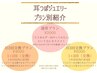 耳ツボジュエリー　月２回交換　4000円　１０個まで