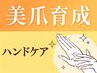 【ケアのみ】自爪育成ネイルケア ¥2750 ─ 深爪/巻き爪/爪が薄い/ハンドケア