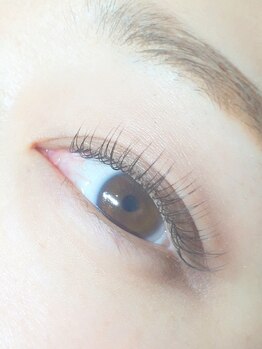 ショーン アーチャリー(CYON ARCHERY)/【マツエク】