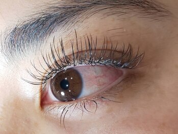 ラシェスキタモト (luscius kitamoto)/フラットラッシュ120