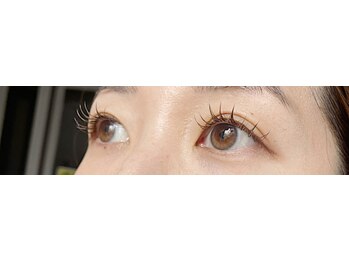 アヤネイルズ アンド アイラッシュ(AYA NAILZ.＆Eyelash)/120本by Lana