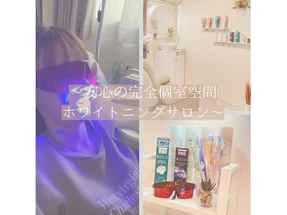 ハチ(HACHI)の写真