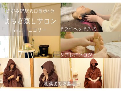 ニコリー(nicolii)の写真
