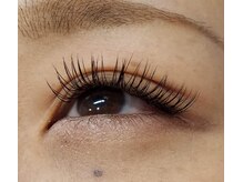 ラブレスルクス(LAVLESS LX)/シングルラッシュつけ放題