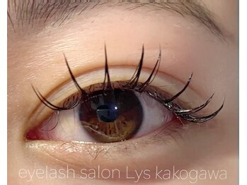 リス(Lys)/フラットラッシュ１００本