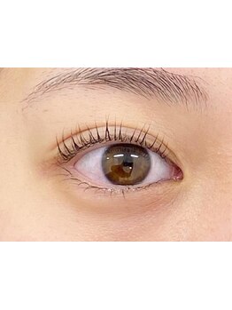 初めての方にオススメ