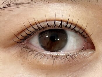 ファミーユ タカサキ(Fameu TAKASAKI)/ラッシュリフト