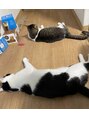 美人ネイル+ 品川高輪店&nbsp;ねこちゃん2匹実家で飼っています♪白サバと白黒です！
