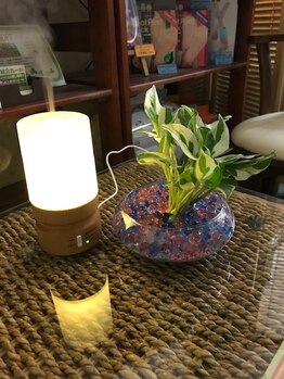 イヤシス アルプラザ敦賀店/癒しの香♪