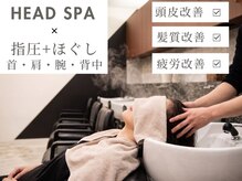 ヘアーオーパス