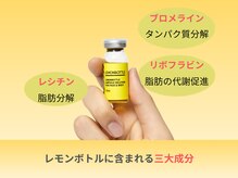 癒し工房ゆらぎ(YURAGI)/3.レモンボトルの特徴