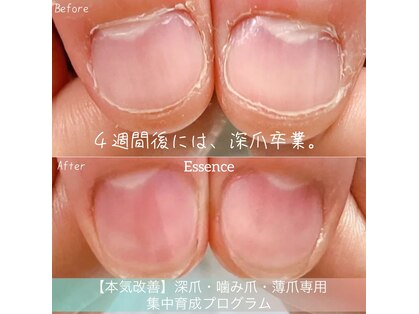 エッセンス (Essence)の写真