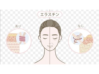 スティラ(Stila)/