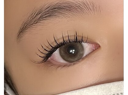 リトルビット(LITTLE BIT)の写真