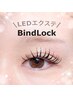 オススメ【持続+濃さ】LEDバインドロック60束 6980円